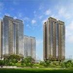 UpperHouse-Developer-Profile-Pine-Tree-Hill